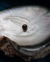 Dizideki Siyah İnci Kolyes