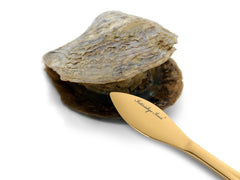 İstiridye Açacağı