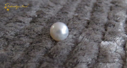 Beyaz Güney Denizi incisi