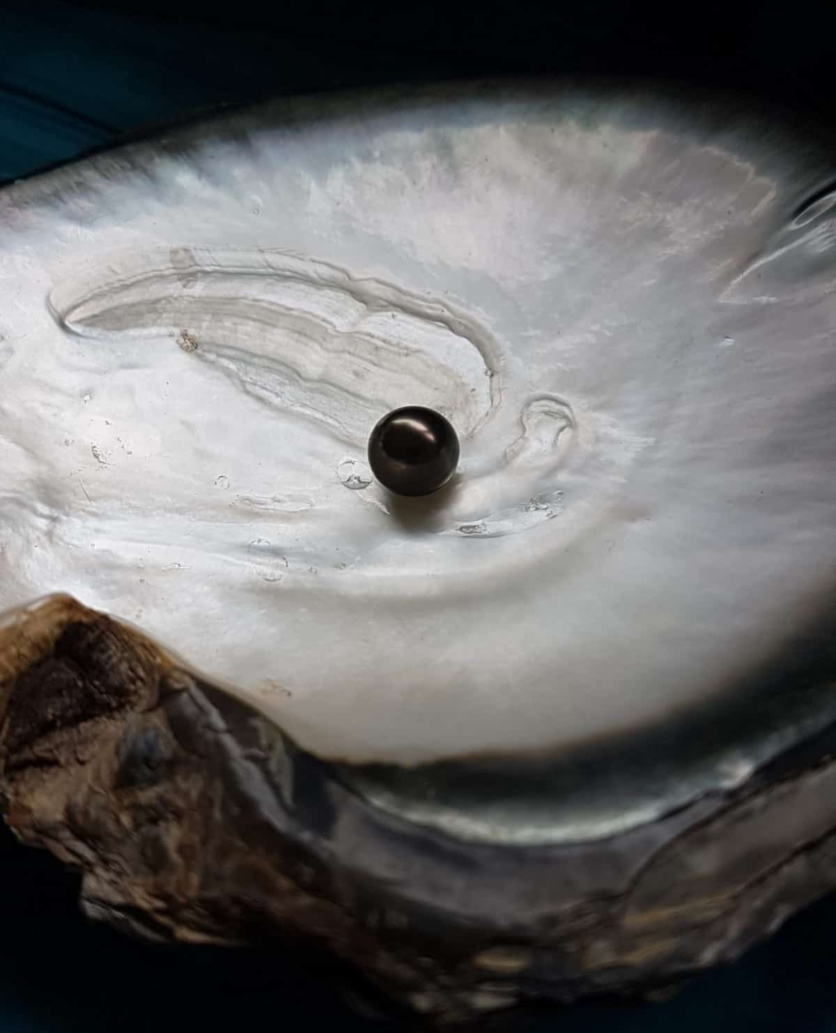 Dizideki Siyah İnci Kolyes