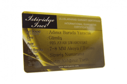 Genişletilmiş Garanti