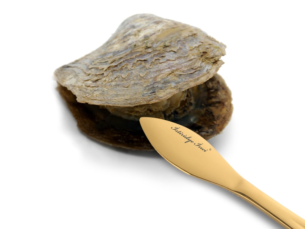 İstiridye Açacağı