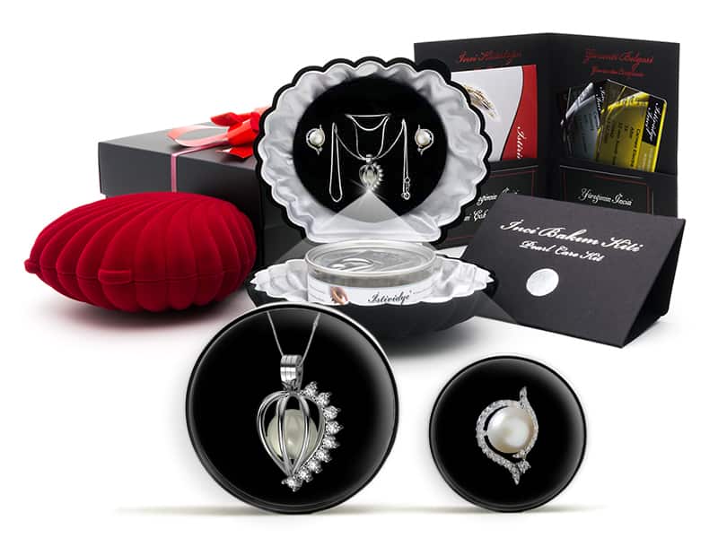 Beyaz Swarovski Kelebek Küpe Set